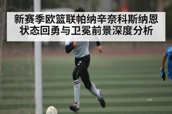 新赛季欧篮联帕纳辛奈科斯纳恩状态回勇与卫冕前景深度分析 - www.c7c7.app